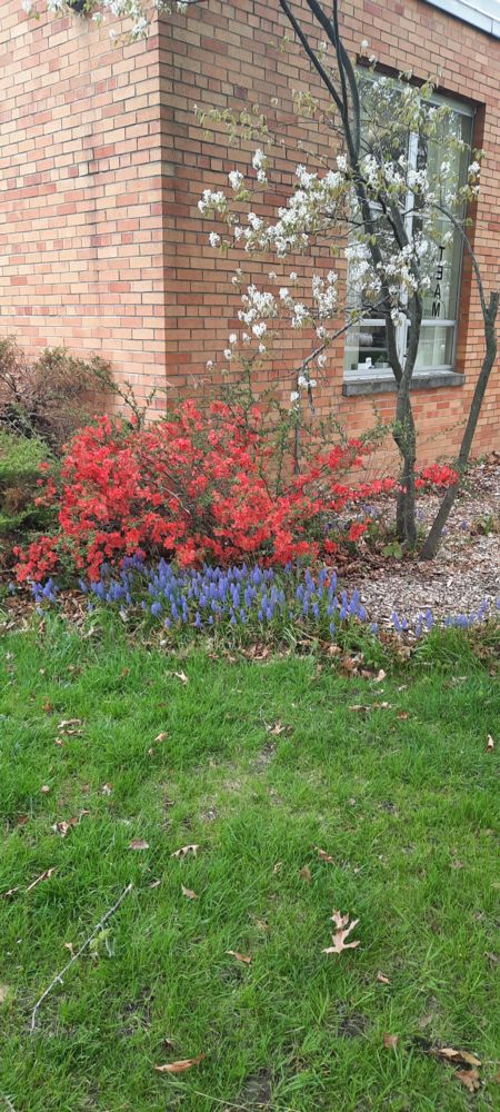 Spring is here!